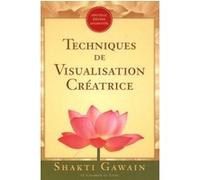 Techniques de visualisation creatrice Collectif (Auteur)