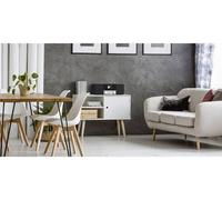 TechniSat DIGITRADIO 4 C Radio de table DAB+, FM, DAB Bluetooth noir,argent