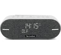 TechniSat DIGITRADIO BT 2 - Enceinte Bluetooth Portable de qualité supérieure avec Radio numérique Dab+ (FM, Horloge, minuterie de réveil, boîtier imperméable, mémoire des favoris, AUX-in, Batterie,