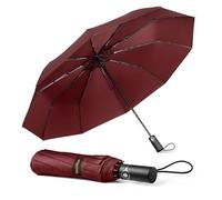 TechRise Parapluie Pliable Automatique Compact Coupe-vent avec 10 Baleines, Bouton Unique pour Ouverture et Fermeture, Portable pour Hommes et Femmes