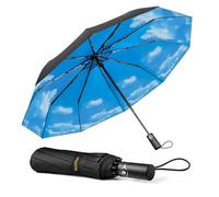 TechRise Parapluie Pliable, Parapluie Automatique Compact Coupe-vent avec 10 Baleines, Ouverture et Fermeture Automatiques à un Seul Bouton, Parapluie de Voyage Portable pour Hommes et Femmes, Ciel
