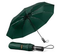 TechRise Parapluie Pliant, Automatique, Compact, Coupe-vent avec 10 Baleines, Ouverture et Fermeture à un Seul Bouton, Parapluie de Voyage Portable pour Hommes et Femmes, Vert