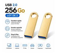 TECHTA Clé USB 2.0 256 Go (Lot de 2) - Mémoire Flash Métal - 2 Or - Stockage Portable pour PC, Ordinateur, TV, Voiture