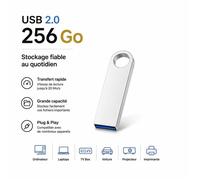 TECHTA Clé USB 2.0 - ARGENT - 256 Go - Stockage Rotation Disque Mémoire Stick