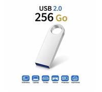 TECHTA Clé USB 2.0 - OR - 256 Go - Stockage Rotation Disque Mémoire Stick