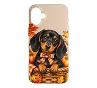 Teckel Feuilles d'automne Citrouilles et Livres Automnes Coque pour iPhone 16 Plus