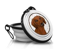 Teckel - Gamelle Pliable en Silicone Portable avec Mousqueton pour promenades et randonnées avec Vos Amis à Quatre Pattes. Pratique, légère, Pratique et Surtout Unique.