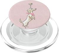 Teckel Occidental avec Bandana, Martini et Rayures Roses PopSockets PopGrip pour MagSafe
