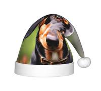 Teckel Weiner Chapeau de Père Noël personnalisé avec imprimé chiens