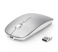 TECKNET Souris sans Fil Bluetooth, Mouse avec DPI Réglable 4800/3200/2400/1600/1200/800, Mini Souris RF 2.4G USB, Souris Wireless 4 Boutons, Portable Bluetooth 5.0 Compatible avec Laptop/, argenté
