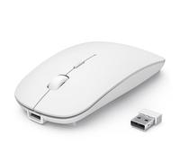 TECKNET Souris sans Fil Bluetooth, Rechargeable Mouse avec DPI Réglable 4800/3200/2400/1600/1200/800, Mini Souris RF 2.4G USB, Souris Wireless 4 Boutons, Bluetooth 5.0 Compatible avec Laptop, Blanc