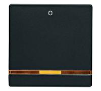 Tecla con símbolo"0" e indicador luminoso naranja, Q.1/Q.3, antracita