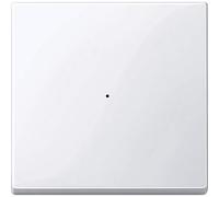 Tecla pulsac. simple elegance Bl.activo