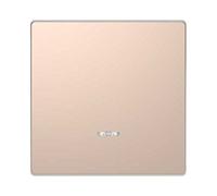 Tecla simple con visor D-Life Champagne