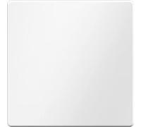 Tecla simple para interruptores/reguladores, serie berker Q.1 de hager, blanco polar