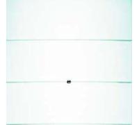 Teclado confort, berker B.IQ 4 fases blanco polar