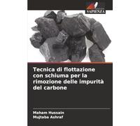 Tecnica di flottazione con schiuma per la rimozione delle impurità del carbone