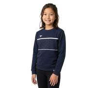 Tecnifibre Sweat-shirt Team