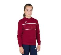 Tecnifibre Sweat-shirt Team