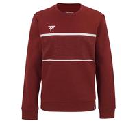 Tecnifibre Sweat-shirt Team