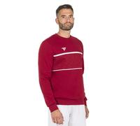Tecnifibre Sweat-shirt Team