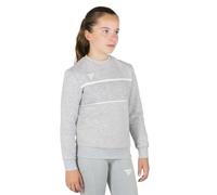 Tecnifibre Sweat-shirt Team