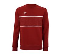 Tecnifibre Team Sweatshirt S