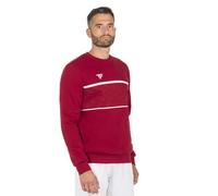 Tecnifibre Team Sweatshirt S