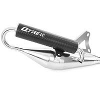 Tecnigas Pot d'échappement sport Q-Tre Chromé/Carbone Tuning Sport pour Peugeot T Streetzone 50, compatibles avec Peugeot Kisbee 50, Sportline, RS (2 temps)