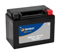 Tecnium Batterie Agm Bb4l-b 12v 4.2ah