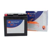 Tecnium Batterie Agm Bt12b-4 12v 11ah