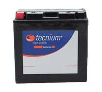 Tecnium Batterie Agm Bt9b-4 12v 8ah