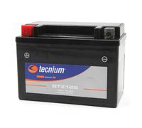 Tecnium Batterie Agm Btz12s 12v 11ah