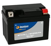 Tecnium Batterie BTX4L 12 V 4,2 Ah AGM Clair