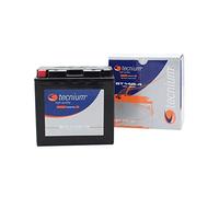 TECNIUM Batterie TECNIUM sans Entretien activé Usine - BTZ7S