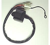 TECNIUM Boitier CDI Yamaha PW80