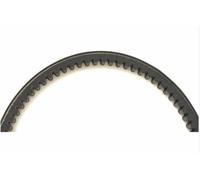 TECNIUM Courroie de transmission standard