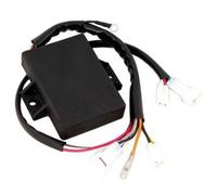 Tecnium Kit Ecu Yamaha Warrior 350