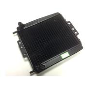 TECNIUM Radiateur BIHR - Piaggio MP3 125 - 500, taille 10 mm