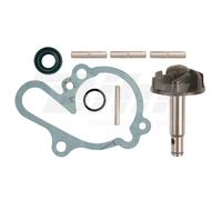 TECNIUM Set Révision Pompe à Eau Rieju RS2 50 2002-2009
