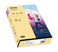 inapa Tecno Colors Lot de 250 feuilles de papier coloré 120 g/m² Chamois clair A4