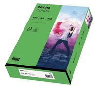 inapa Tecno Colors Lot de 250 feuilles de papier coloré 160 g/m² Vert intense Format A4
