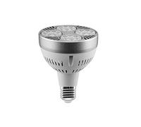 TECNOLUX EURO Ampoule LED PAR30 E27 3000 K lumière chaude 35 W