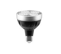 TECNOLUX EURO -LED Ampoule Lampe 35 W Par30 E27 Spot 2975 Lm