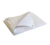 TECPLAST Bâche de Protection 3x4 m TR170MU - Bâche Armée Transparente - Haute Qualité - Imperméable - Résistance Anti-UV