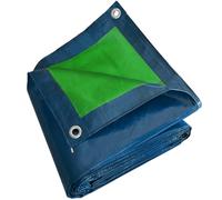 TECPLAST Bâche de Protection 5x8 m SR150MU Bleue et Verte - Haute Qualité - Bâche d'extérieur imperméable avec oeillets