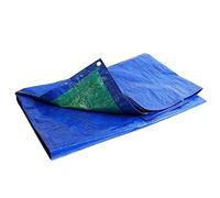 TECPLAST Bâche de Protection 5x8 m SR150MU Bleue et Verte - Haute Qualité - Bâche d'extérieur imperméable avec Oeillets