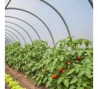 TECPLAST Bâche Serre 3x10 m 150SE - Film plastique transparent pour serre de jardin - Haute Qualité - Made in France