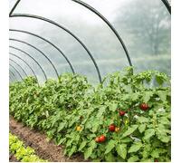 TECPLAST Bâche Serre 6x10 m 200SE - Film plastique transparent pour serre de jardin - Haute Performance - Made in France