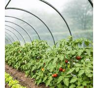 TECPLAST Bâche Serre 6x15 m 200SE - Film plastique transparent pour serre de jardin - Haute Performance - Made in France